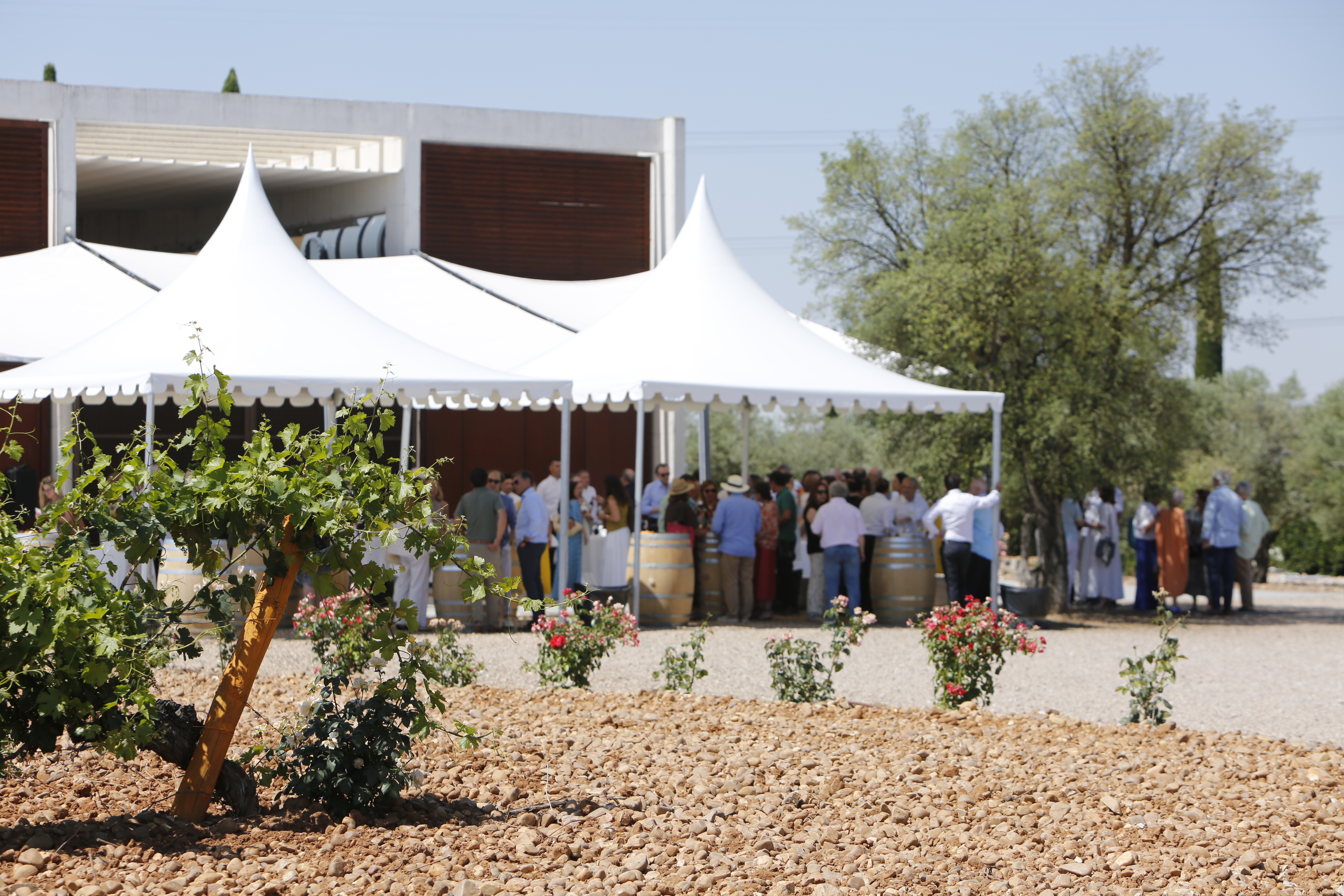 Concierto en el Museo Nacional de Escultura