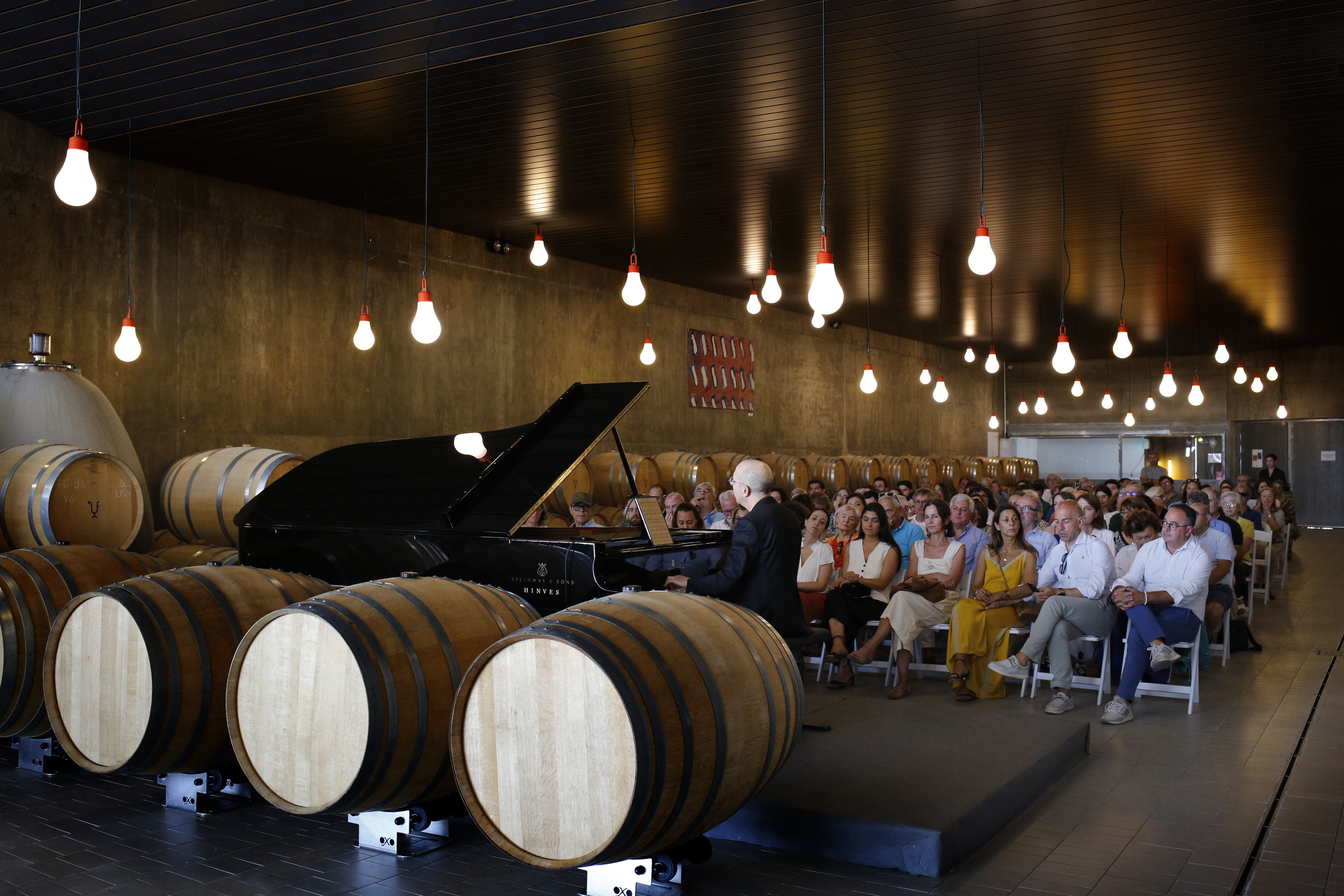 Viñedos al atardecer