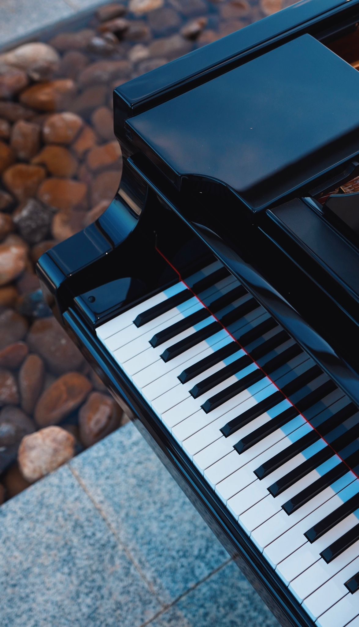 Edición 2025 — imagen 11