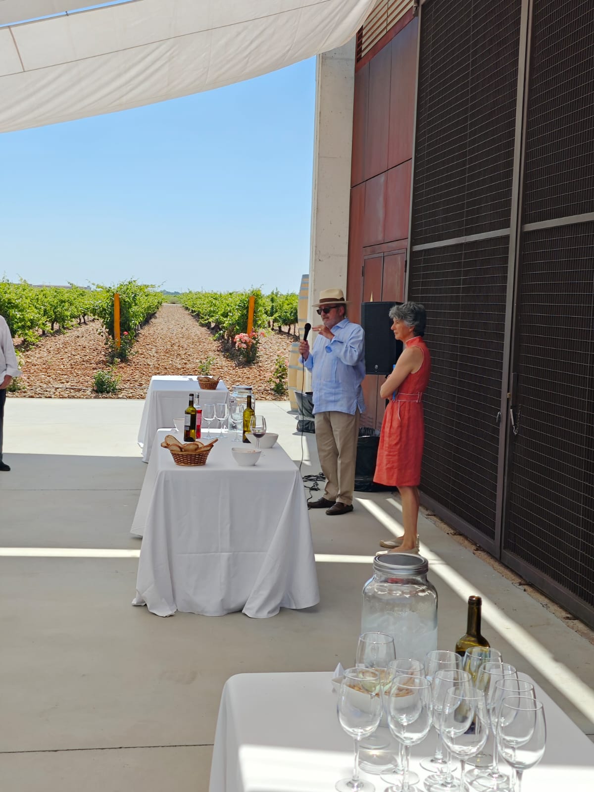 Edición 2025 — imagen 17