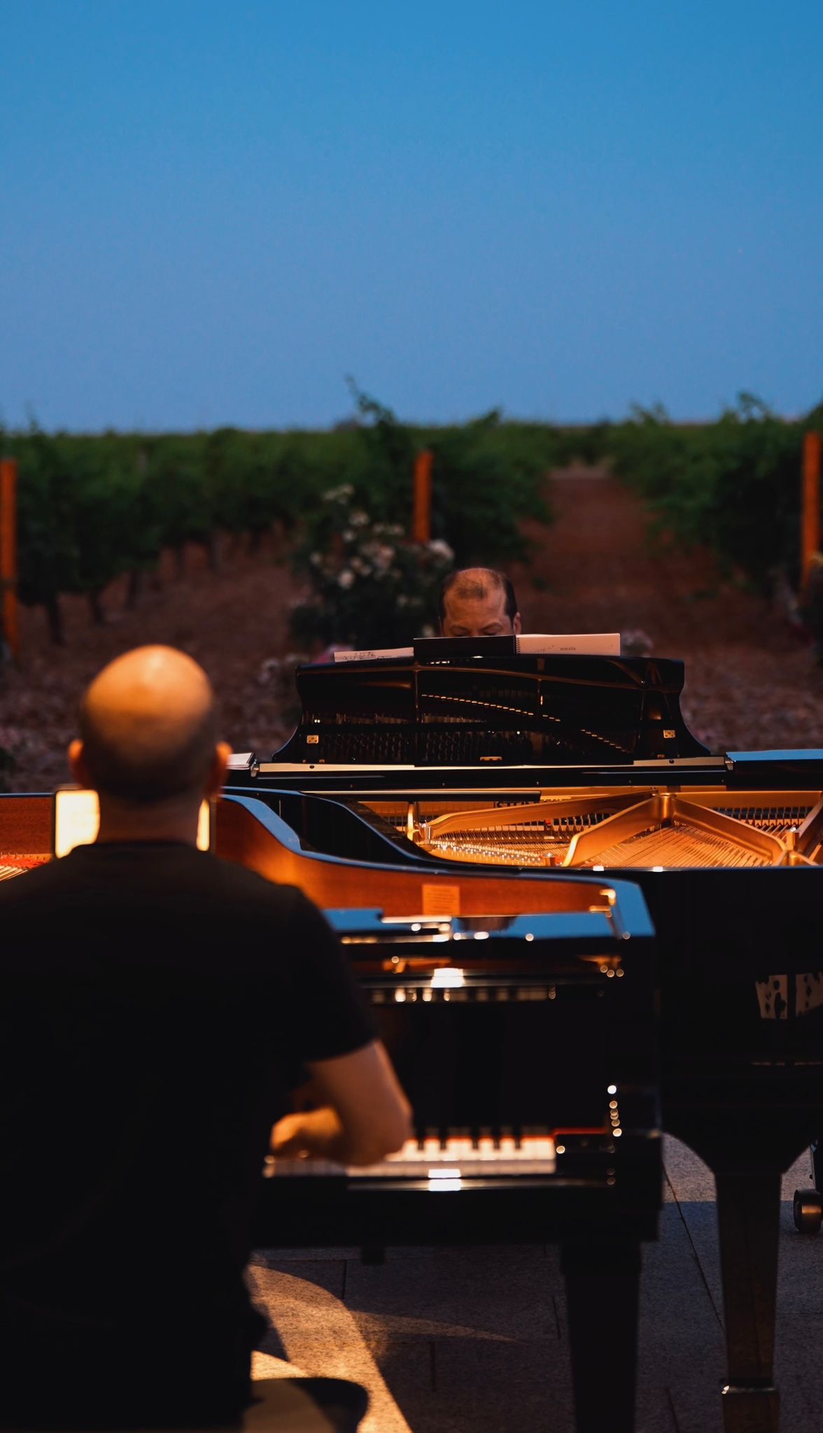 Edición 2025 — imagen 3