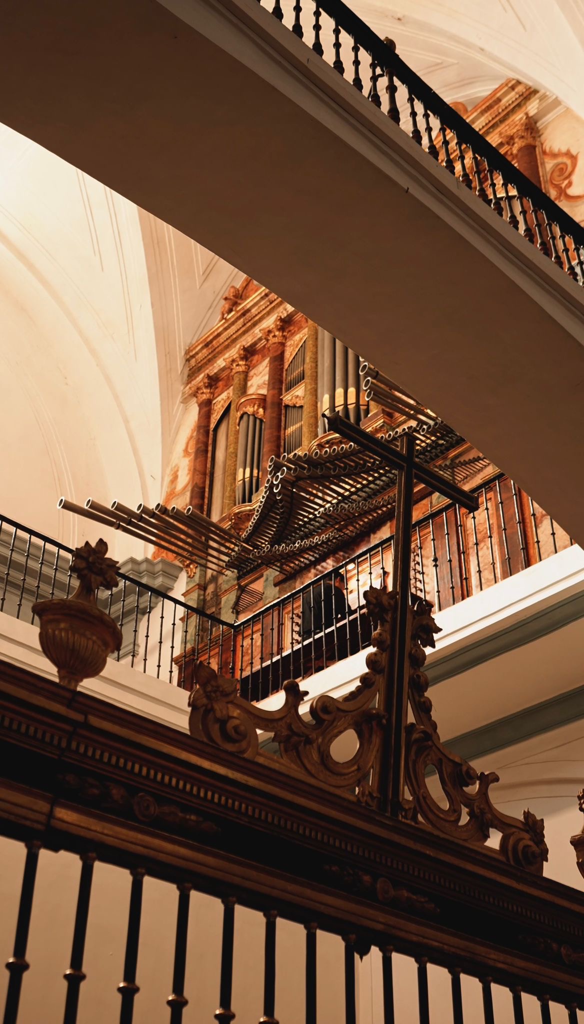 Edición 2025 — imagen 31