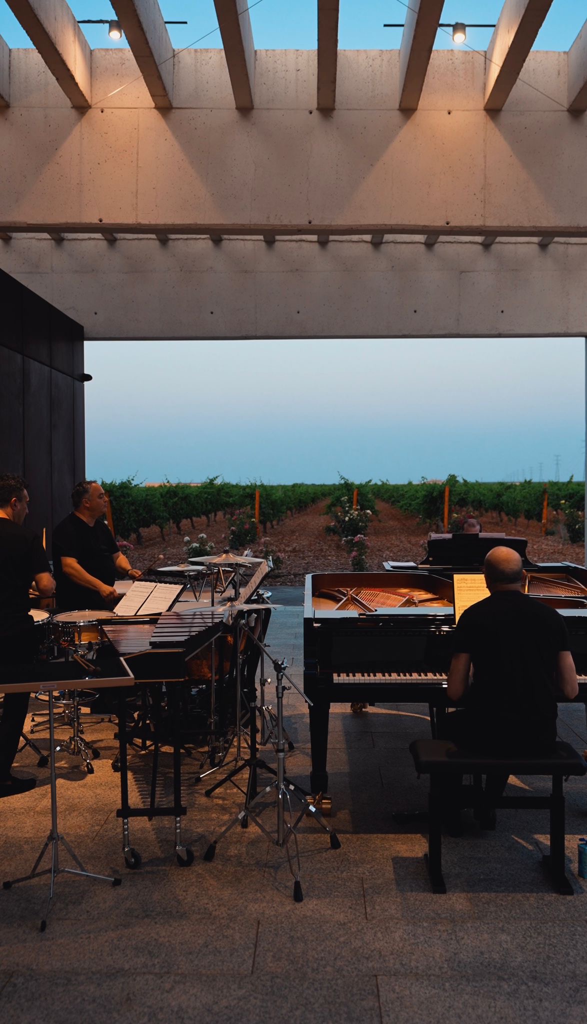 Edición 2025 — imagen 5