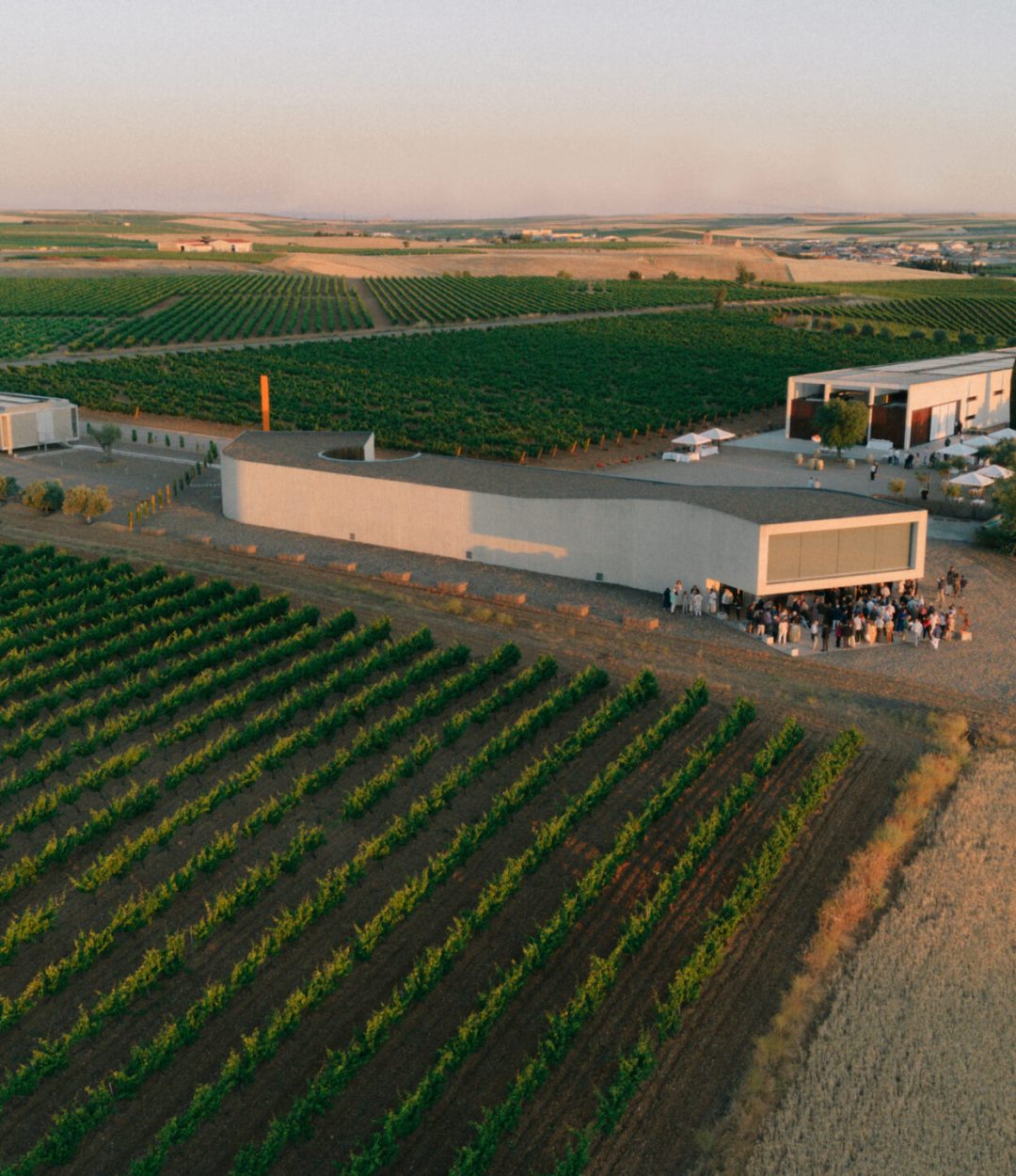 Belondrade Arte y vino Viernes Drone-editada